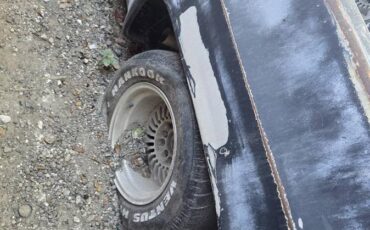 Chevrolet-ck-pickup-12-ton-1981-2