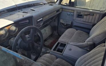 Chevrolet-ck-pickup-12-ton-1981-3