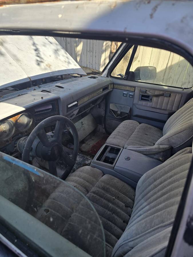 Chevrolet-ck-pickup-12-ton-1981-3