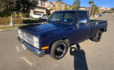 Chevrolet-ck-pickup-12-ton-1984-blue-13