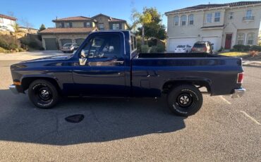 Chevrolet-ck-pickup-12-ton-1984-blue-14