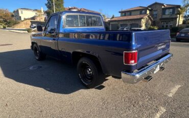 Chevrolet-ck-pickup-12-ton-1984-blue-15
