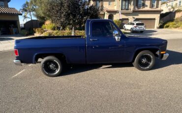 Chevrolet-ck-pickup-12-ton-1984-blue-17