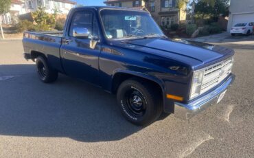Chevrolet-ck-pickup-12-ton-1984-blue-18