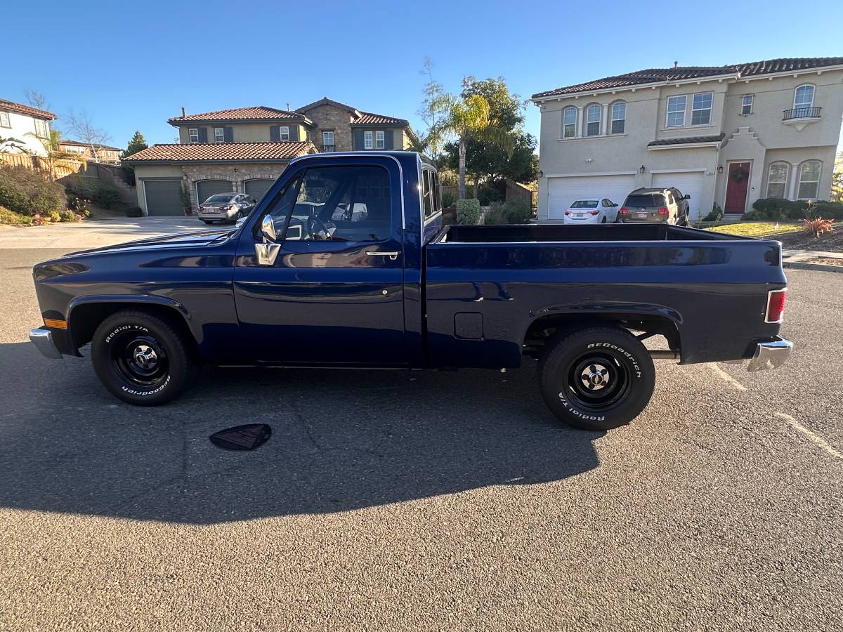 Chevrolet-ck-pickup-12-ton-1984-blue-19