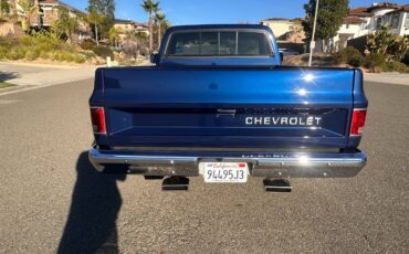 Chevrolet-ck-pickup-12-ton-1984-blue-21