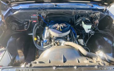 Chevrolet-ck-pickup-12-ton-1984-blue-23