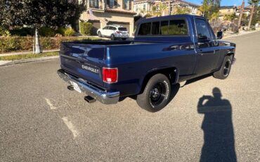 Chevrolet-ck-pickup-12-ton-1984-blue-24