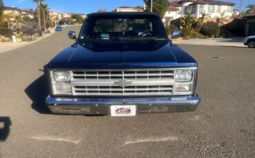 Chevrolet-ck-pickup-12-ton-1984-blue-4