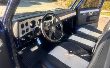 Chevrolet-ck-pickup-12-ton-1984-blue-7