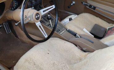 Chevrolet-corvette-1969-2