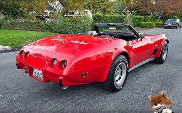 Chevrolet-corvette-1975-17