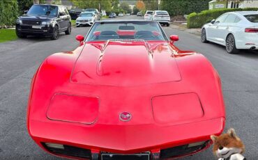 Chevrolet-corvette-1975-2