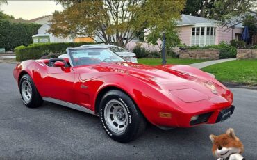 Chevrolet-corvette-1975-4