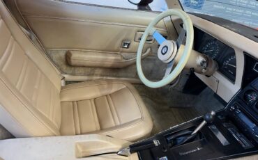 Chevrolet-corvette-1978-6