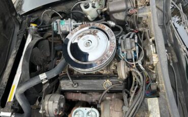 Chevrolet-corvette-1978-black-6