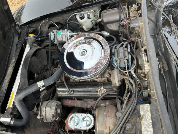 Chevrolet-corvette-1978-black-6