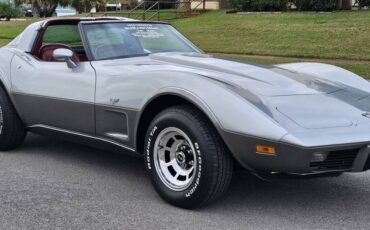 Chevrolet-corvette-1978-silver-12