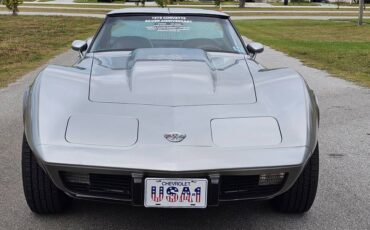 Chevrolet-corvette-1978-silver-2