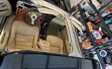 Chevrolet-corvette-1979-black-12