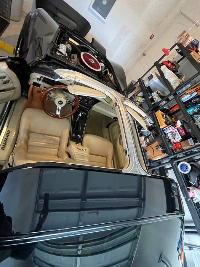 Chevrolet-corvette-1979-black-12