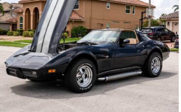 Chevrolet-corvette-1979-black-16