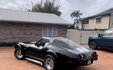 Chevrolet-corvette-1979-black-23