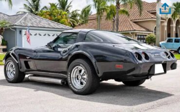 Chevrolet-corvette-1979-black-3