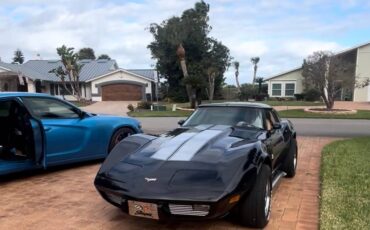 Chevrolet-corvette-1979-black-43