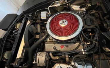 Chevrolet-corvette-1979-black-8