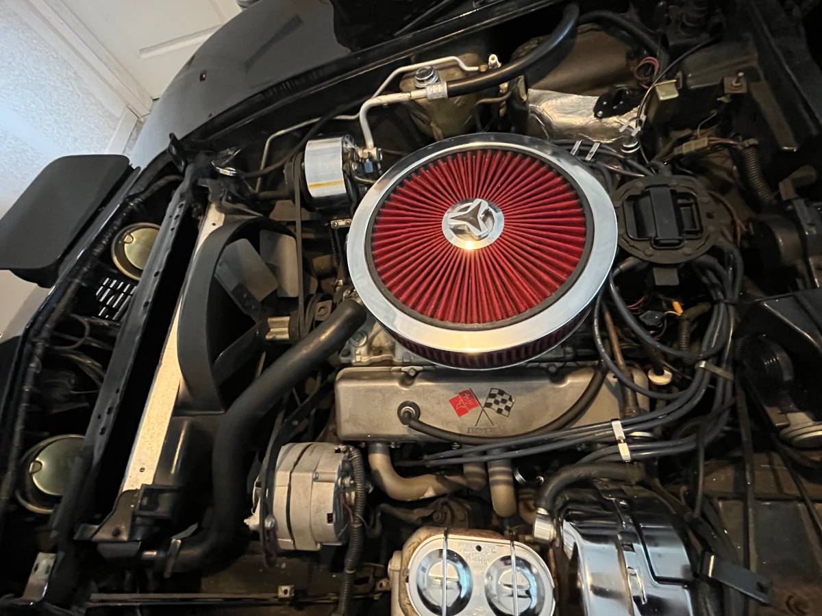 Chevrolet-corvette-1979-black-8