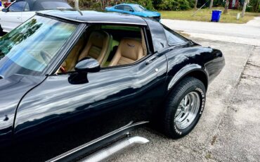 Chevrolet-corvette-1979-black-8