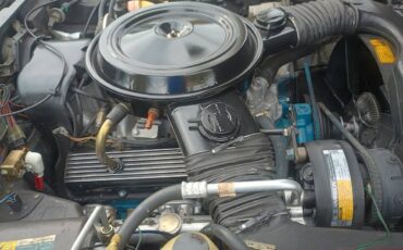 Chevrolet-corvette-1980-2