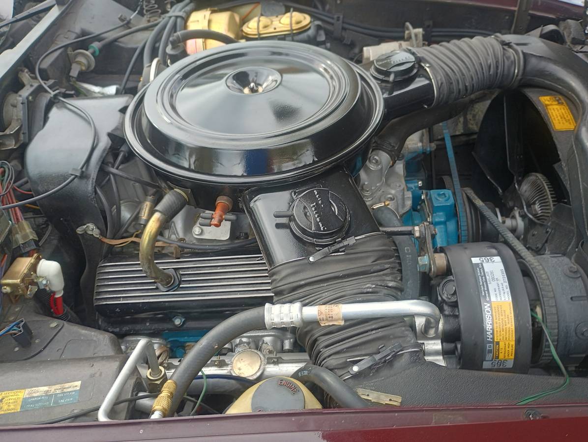 Chevrolet-corvette-1980-2