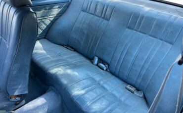 Chevrolet-corvette-1980-blue-5