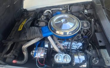 Chevrolet-corvette-1981-white-2