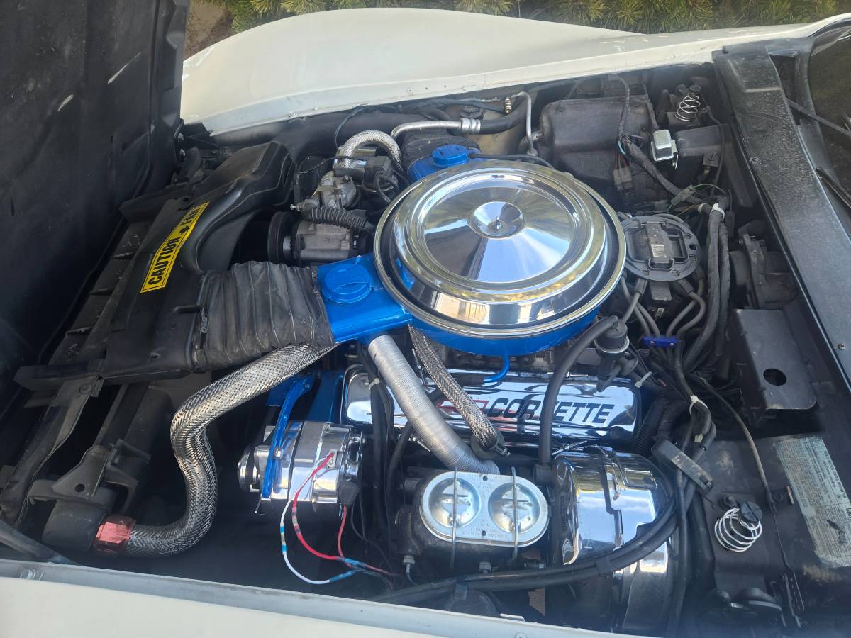 Chevrolet-corvette-1981-white-2