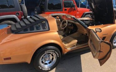 Chevrolet-corvette-1982-custom-19