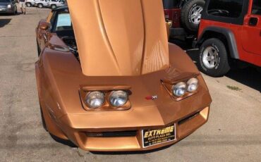 Chevrolet-corvette-1982-custom-2