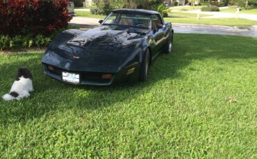 Chevrolet-corvette-1982-green-3