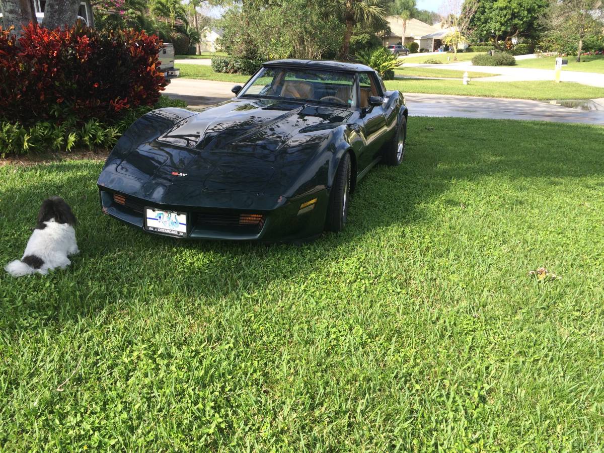 Chevrolet-corvette-1982-green-3