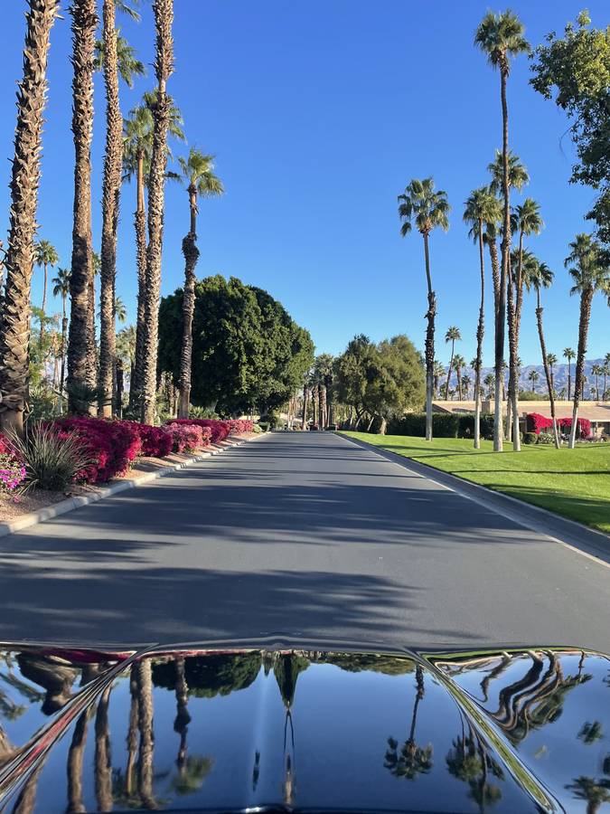 Chevrolet-corvette-1989-blue-5