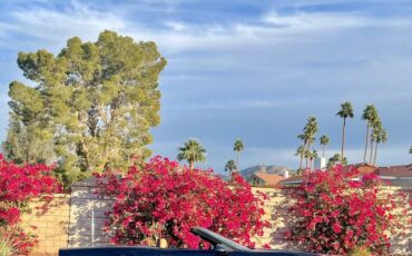 Chevrolet-corvette-1989-blue-7