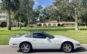 Chevrolet-corvette-1993-white-17