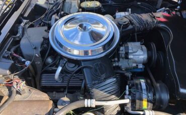 Chevrolet-corvette-coupe-1978-black-19