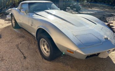 Chevrolet-corvette-coupe-1978-silver-1