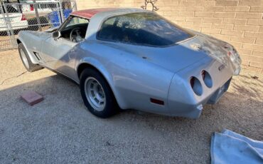 Chevrolet-corvette-coupe-1978-silver-14