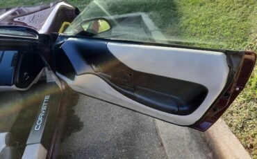 Chevrolet-corvette-coupe-1995-purple-12