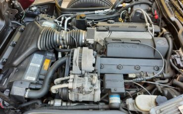 Chevrolet-corvette-coupe-1995-purple-13