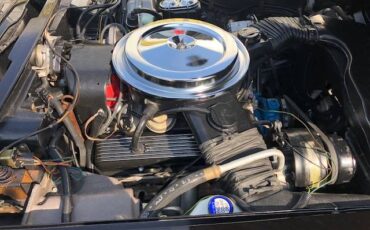 Chevrolet-corvette-pace-car-1978-black-12